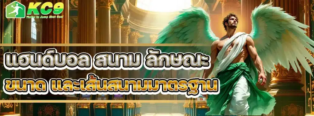 แฮนด์บอล สนาม